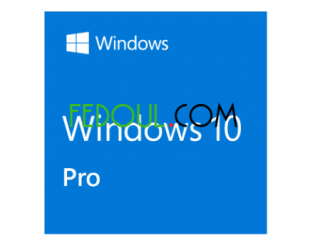 Windows 10 pro Office home and business 2019 Office pro 2019