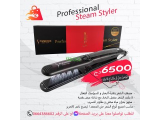 Professional steam styler