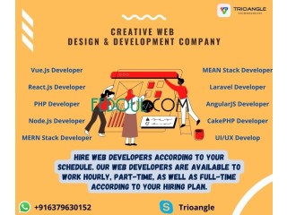Custom Web Design And Development Service