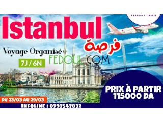 Voyage organisé a Istanbul